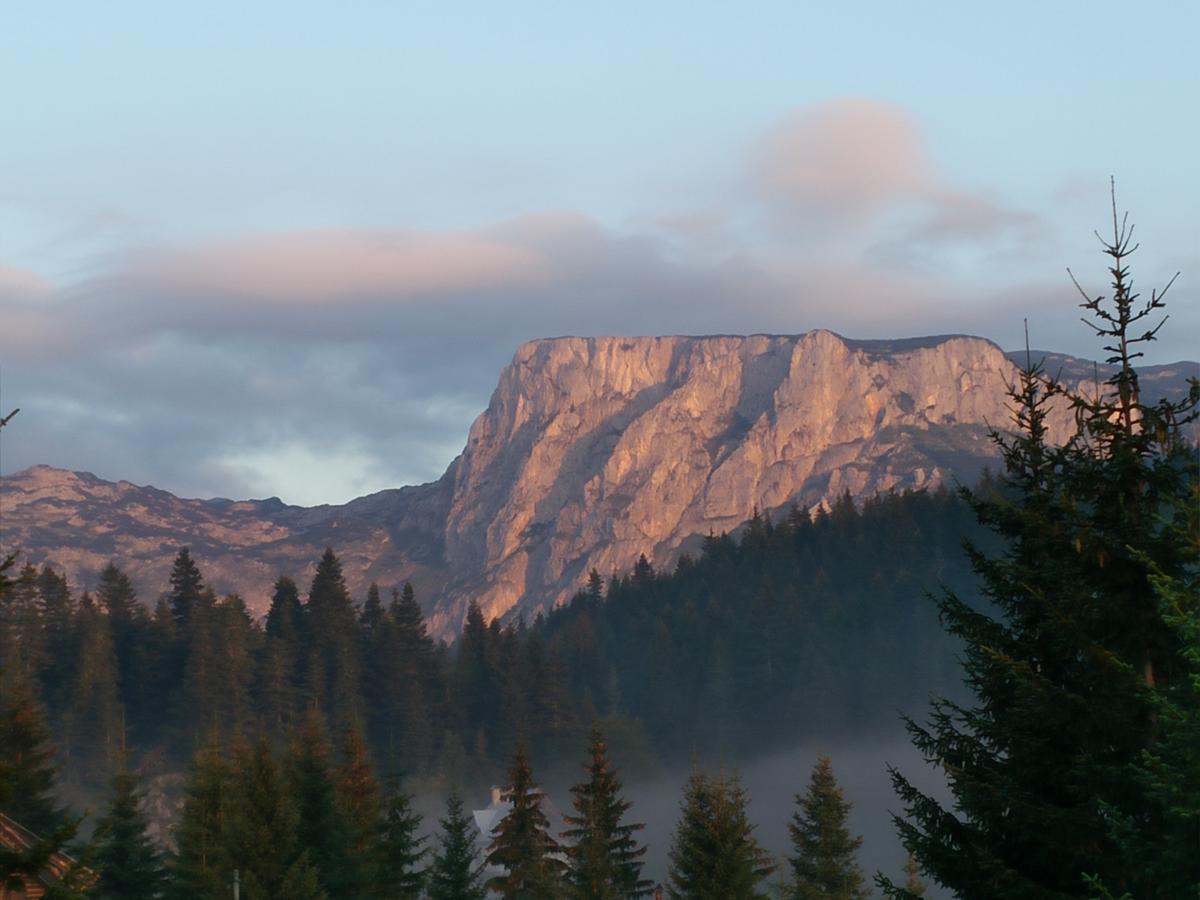 Apartment Durmitor Žabljak Eksteriør bilde