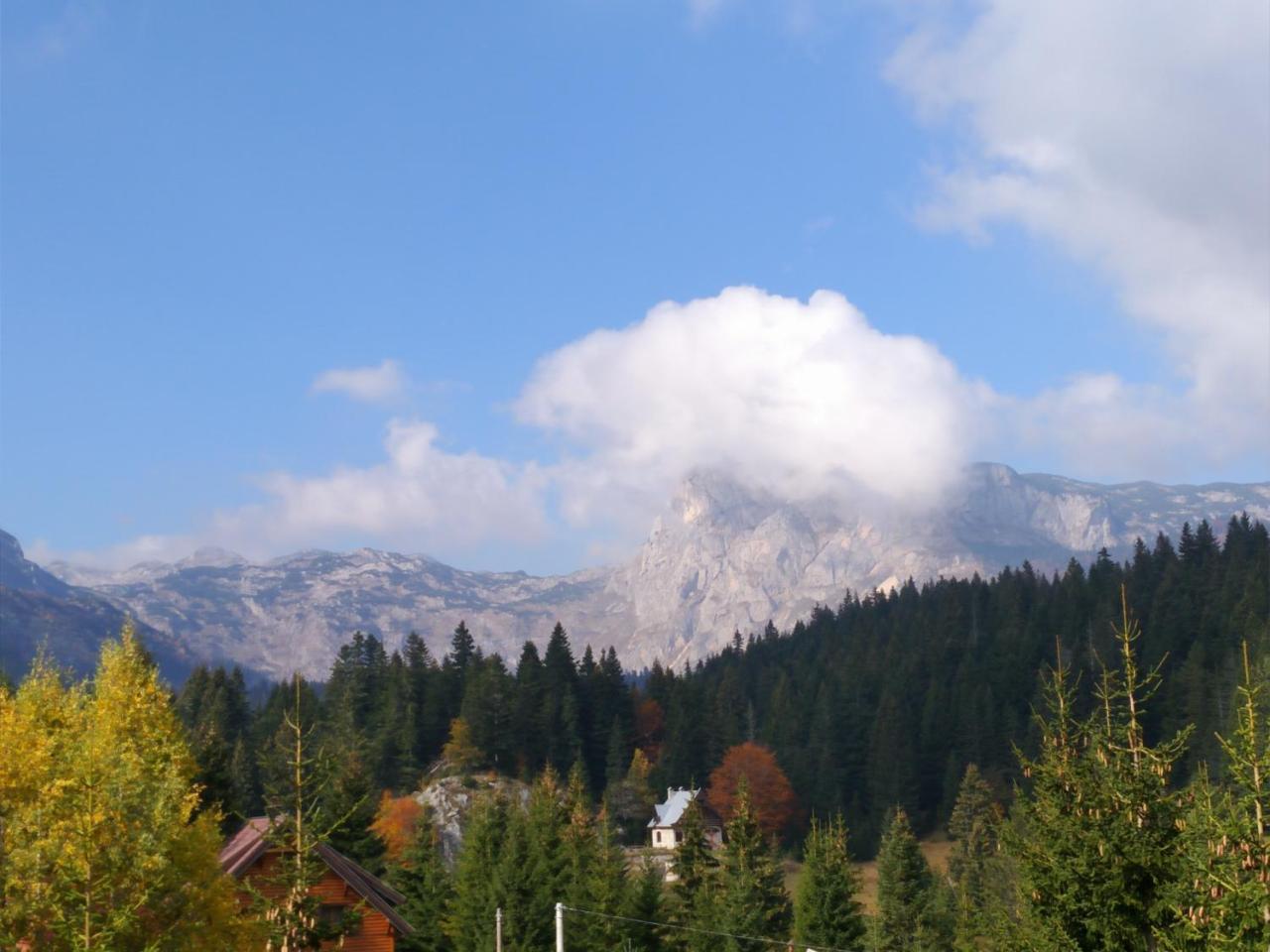 Apartment Durmitor Žabljak Eksteriør bilde