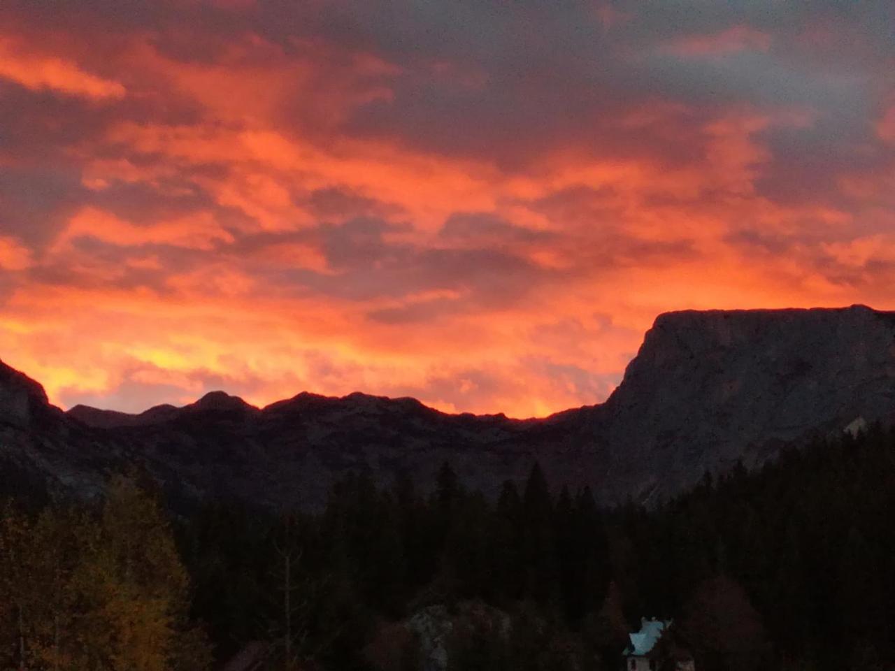 Apartment Durmitor Žabljak Eksteriør bilde