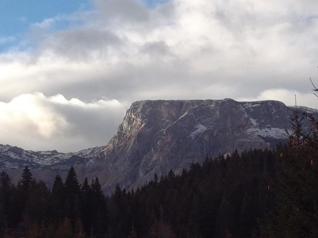 Apartment Durmitor Žabljak Eksteriør bilde