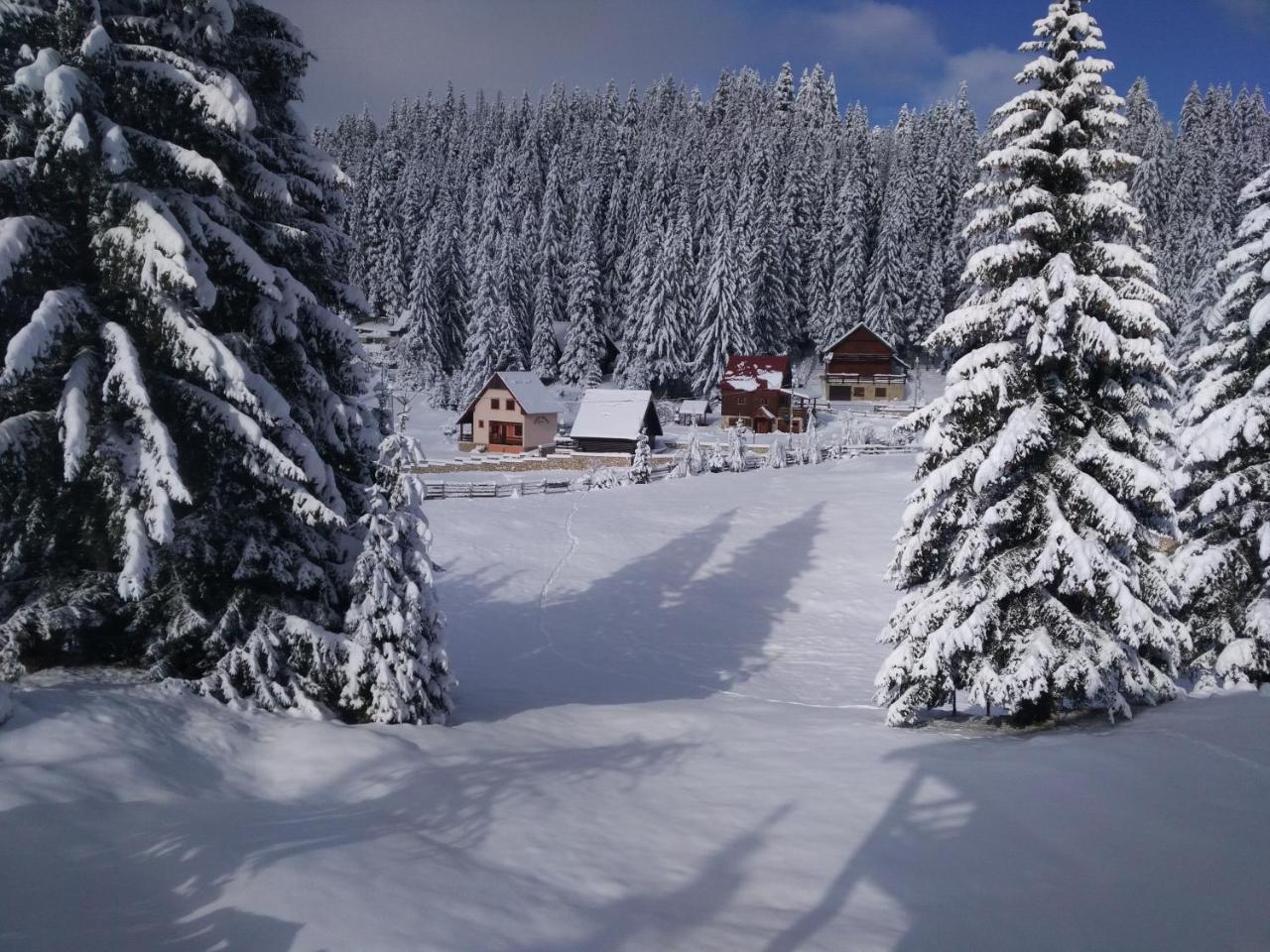 Apartment Durmitor Žabljak Eksteriør bilde