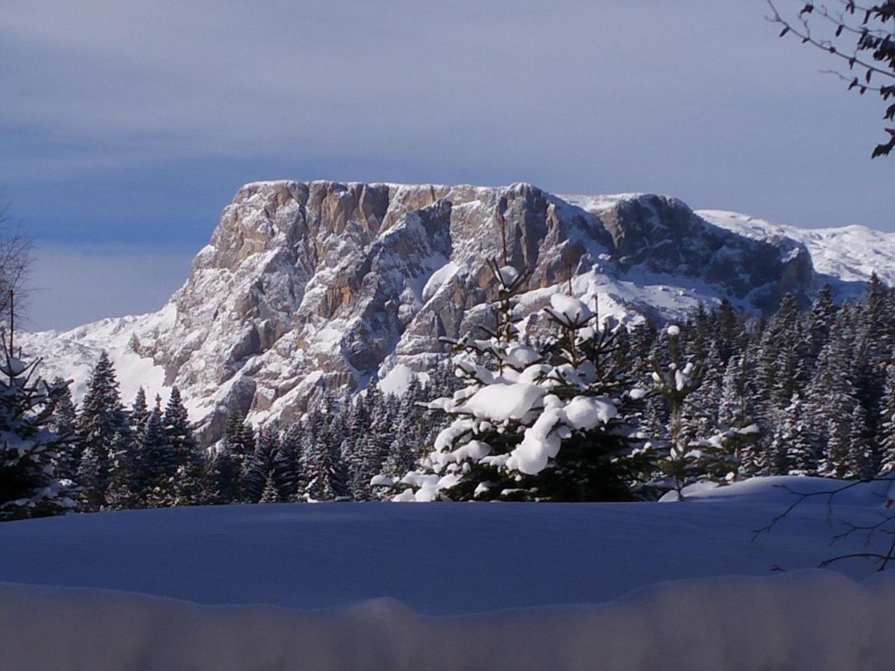 Apartment Durmitor Žabljak Eksteriør bilde