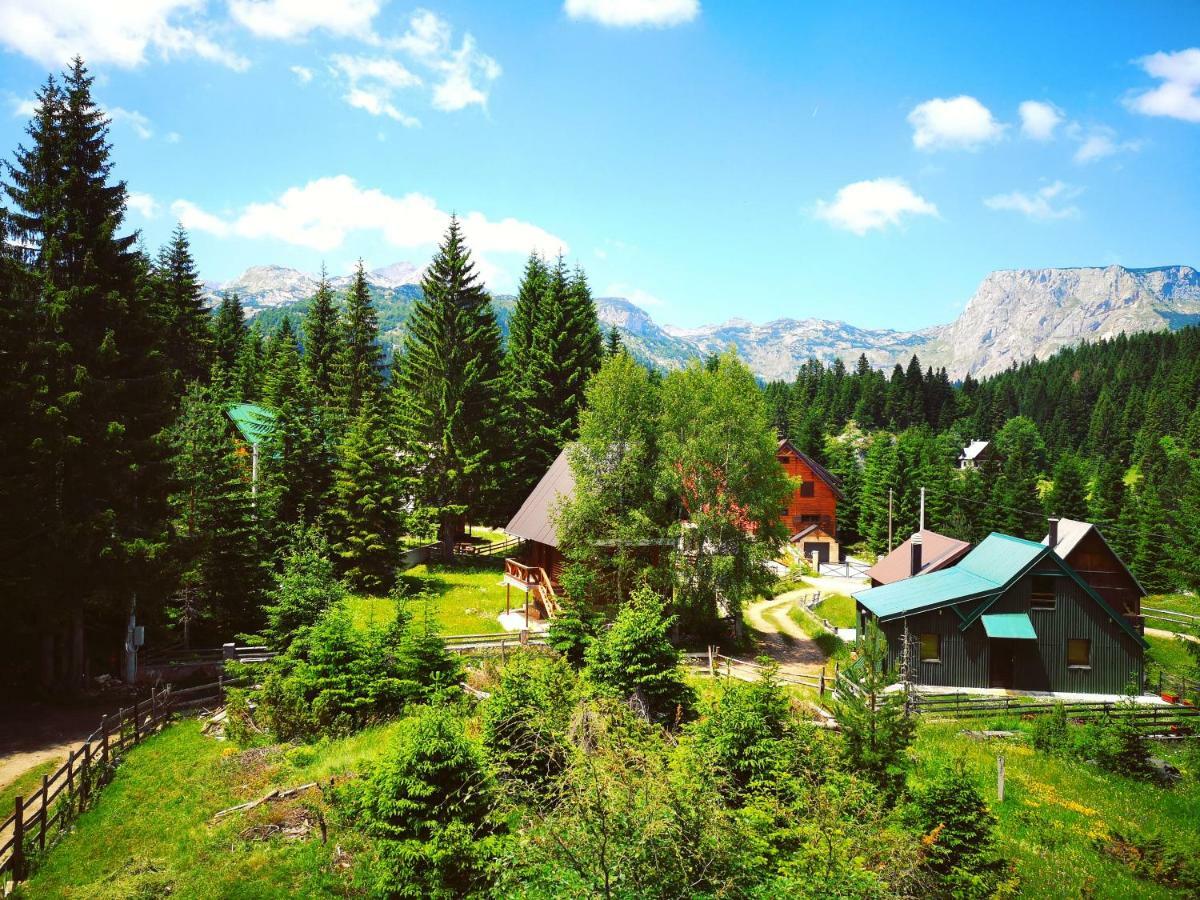 Apartment Durmitor Žabljak Eksteriør bilde