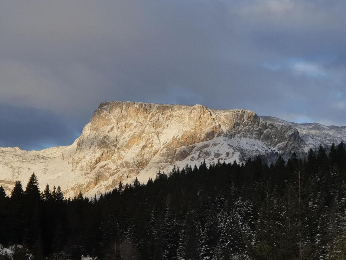 Apartment Durmitor Žabljak Eksteriør bilde